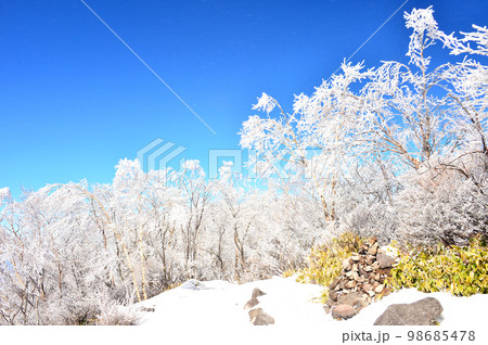 霧氷が美しい冬の群馬県赤城山 霧氷が美しい冬の群馬県赤城山 98685478