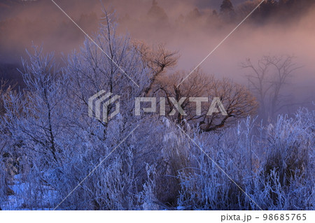 朝焼けの冬景色 朝焼けの冬景色 98685765
