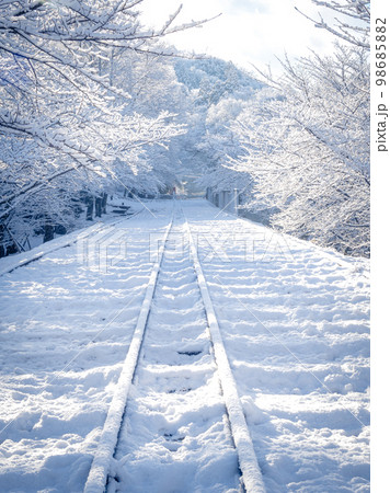 真冬の蹴上インクラインの絶景 98685882