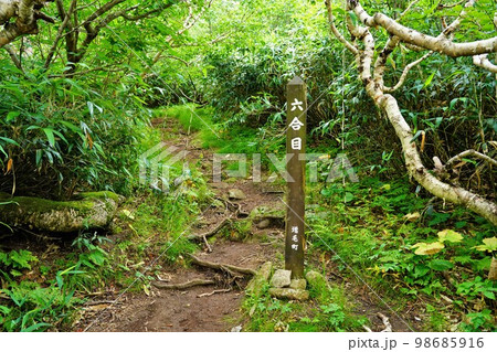暑寒別岳の六合目の標識 98685916