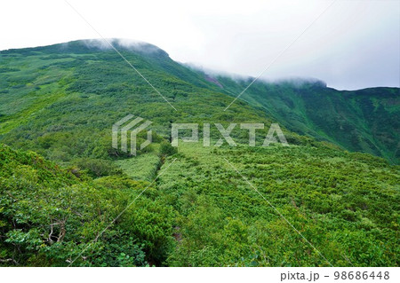 暑寒別岳屏風岩からの登山道 暑寒別岳屏風岩からの登山道 98686448