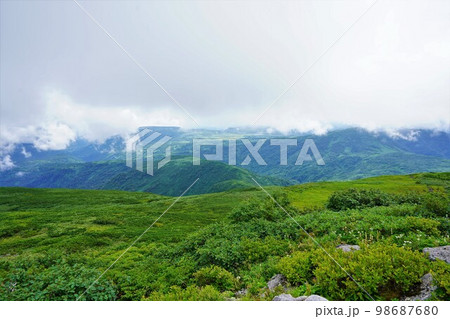暑寒別岳山頂からの雨竜沼湿原 98687680