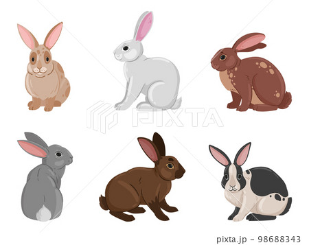Cartoon cute bunnies. Funny rabbits, spring eared hare animals, white and brown fluffy domestic bunnies flat vector illustration set on white background 98688343