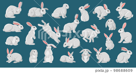 Cartoon white rabbits. Easter cute bunny, funny domestic white bunnies flat vector illustration set. Easter fluffy rabbits collection 98688609