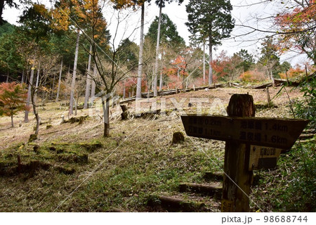 湯河原町 池峯ハイキングコースと紅葉山道案内と紅葉 湯河原町 池峯ハイキングコースと紅葉山道案内と紅葉 98688744