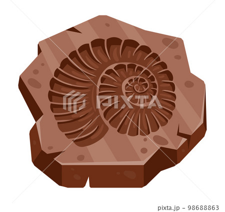 Cartoon archeology ammonite fossil, ancient seashell. Palaeontology ocean fauna print, archeology excavation ammonite artefact flat vector illustration on white background 98688863