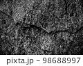 Rock texture. The surface of the stone is like a wall. White gray grunge background with copy space for design. 98688997