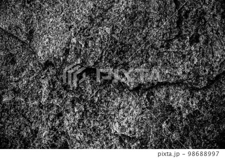 Rock texture. The surface of the stone is like a wall. White gray grunge background with copy space for design. 98688997