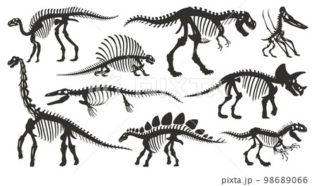 Cartoon dino skeleton silhouettes. Ancient dinosaur fossil bones, jurassic tyrannosaurus, velociraptor, spinosaurus black silhouette flat vector illustration set on white background Cartoon dino skeleton silhouettes. Ancient dinosaur fossil bones, jurassic tyrannosaurus, velociraptor, spinosaurus black silhouette flat vector illustration set on white background 98689066