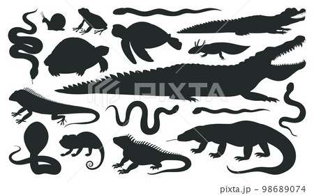 Cartoon reptile and amphibian silhouettes. Wild animals, frog, crocodile, lizard, snake, chameleon and turtle black silhouette, flat vector illustration on white background 98689074
