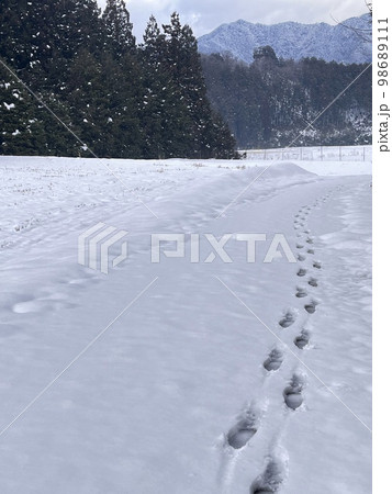 雪道の足跡 雪道の足跡 98689111