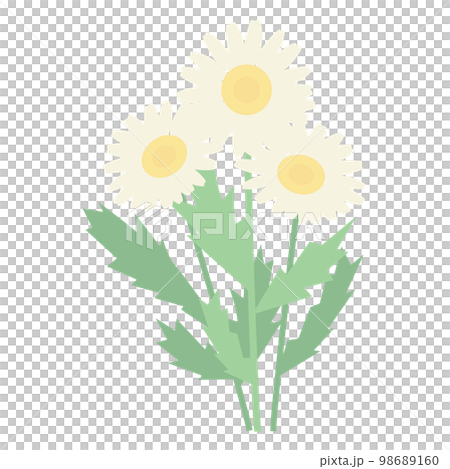 簡單北極的矢量圖解 98689160