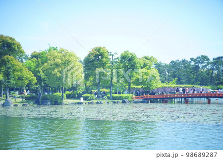 天王川公園 蓮池 天王川公園 蓮池 98689287