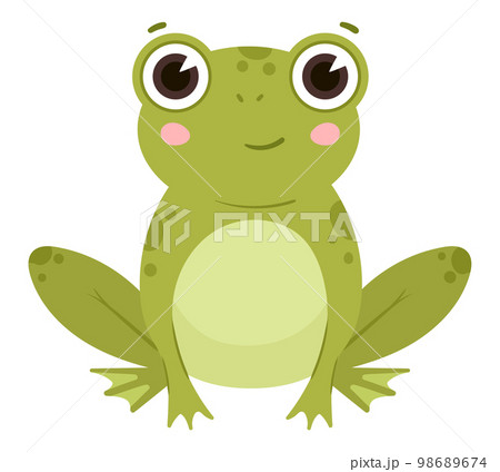 Cartoon frog, cute water animals, green amphibia. Funny froggy, sitting froglet flat vector illustration on white background 98689674