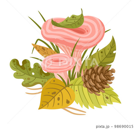 Cartoon forest mushroom, edible plant with leaves and grass. Fall seasonal woodland mushroom flat vector illustration. Autumn wavelet plant with foliage Cartoon forest mushroom, edible plant with leaves and grass. Fall seasonal woodland mushroom flat vector illustration. Autumn wavelet plant with foliage 98690015