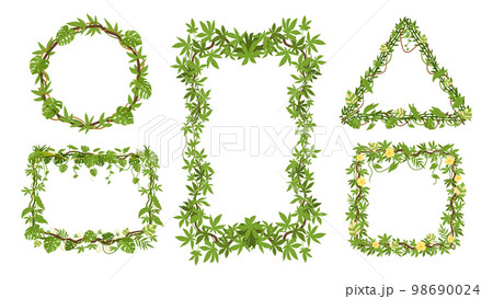 Cartoon tropical liana frames, climbing plants decor. Jungle hanging liana wild plants, creepers branch frame, rainforest liana flat vector illustration set. Green foliage lianas borders 98690024