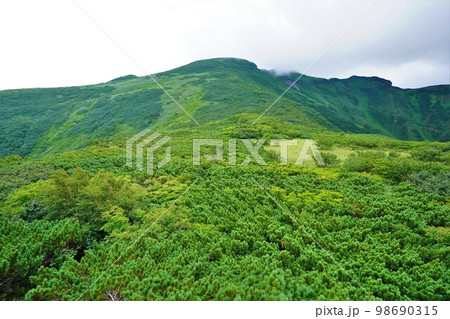 屛風岩からの暑寒別岳山頂への尾根 98690315