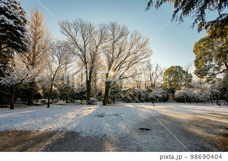 東京都港区、有栖川公園の雪景色 98690404