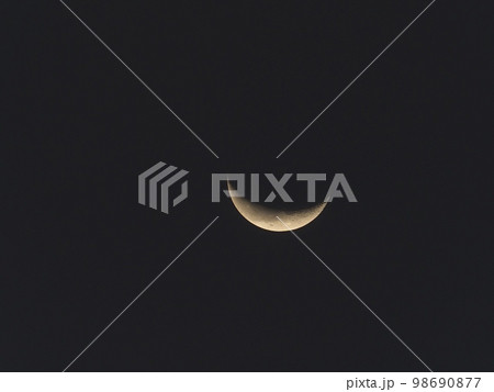 月齢25の月　ありあけ月 98690877