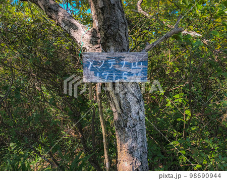 小野アルプスの縦走登山：アンテナ山の山頂 98690944