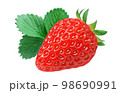 いちご 苺 イラスト リアル セット 98690991