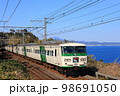 湘南の海沿いを走る踊り子号 98691050