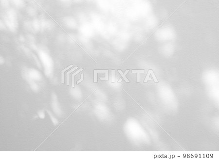 Abstract shadow of leaves on a white wall 98691109