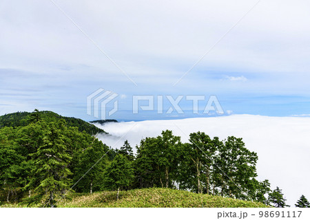雲海の北海道 津別峠 98691117