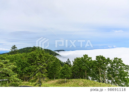 雲海の北海道 津別峠 98691118