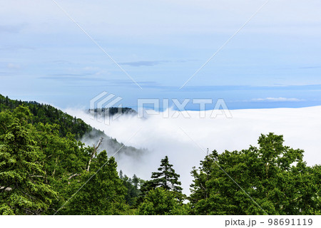 雲海の北海道 津別峠 98691119