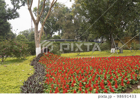 Thang Long Imperial Citadel in Hanoi, Vietnam 98691433