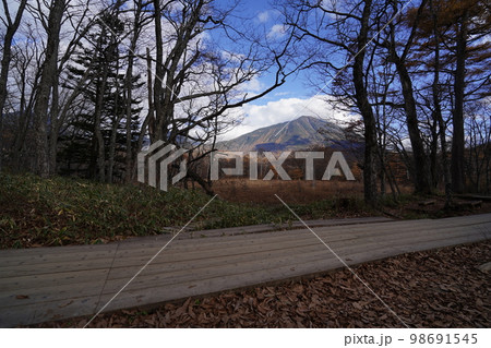 奥日光戦場ケ原　湯滝から自然研究路を通って赤沼に向かう途中から男体山を見る　　2022年10月31日 98691545