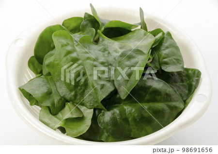 雲南百薬 98691656