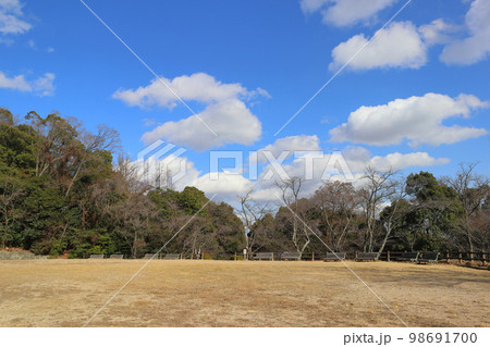 甲山森林公園・自由広場 甲山森林公園・自由広場 98691700