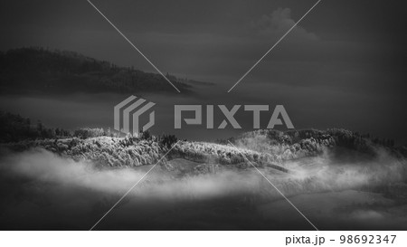 Morning view of the waking landscape 98692347