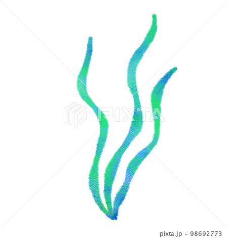 水彩タッチの海の生き物　わかめ 98692773