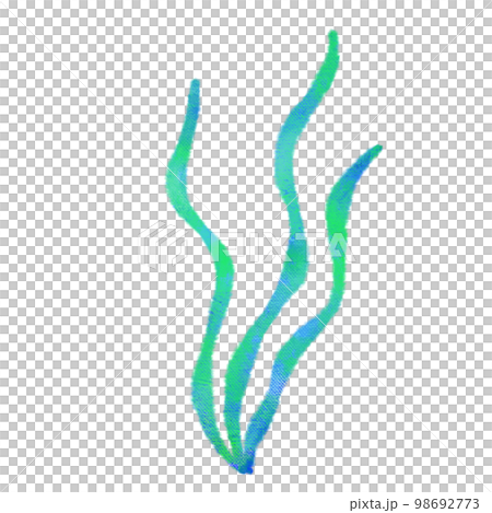 水彩タッチの海の生き物　わかめ 98692773