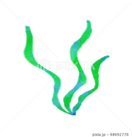 水彩タッチの海の生き物　わかめ 98692776