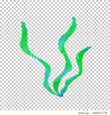水彩畫的海洋生物裙帶菜海藻 水彩畫的海洋生物裙帶菜海藻 98692776