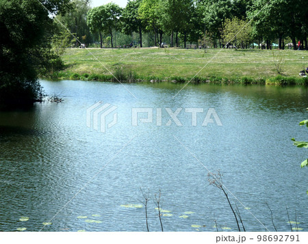 summer landscape of the river bank with green trees, background, wallpaper summer landscape of the river bank with green trees, background, wallpaper 98692791