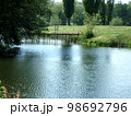 summer landscape of the river bank with green trees, background, wallpaper 98692796