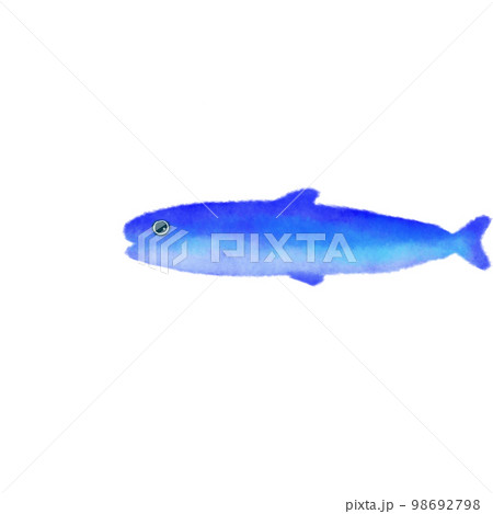 水彩タッチの海の生き物 イワシ 水彩タッチの海の生き物 イワシ 98692798