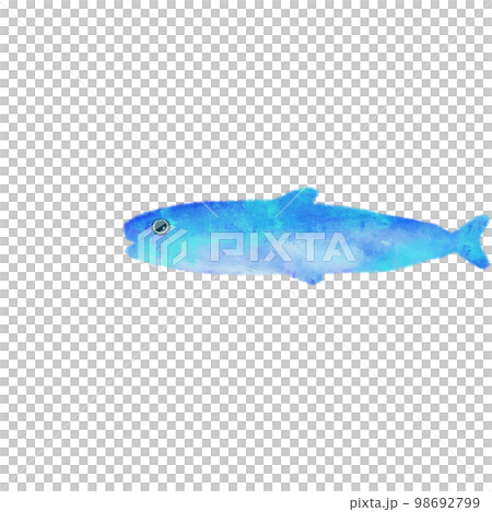 帶有水彩筆觸的海洋生物沙丁魚 98692799