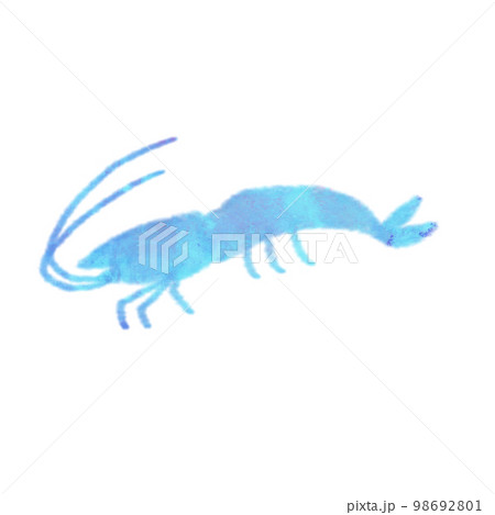 水彩タッチの海の生き物　えび 98692801
