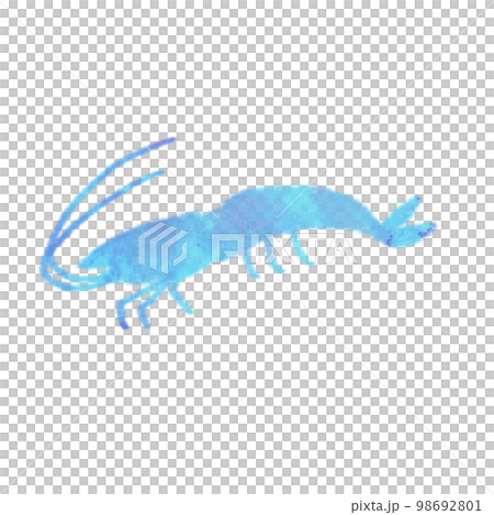 水彩タッチの海の生き物　えび 98692801