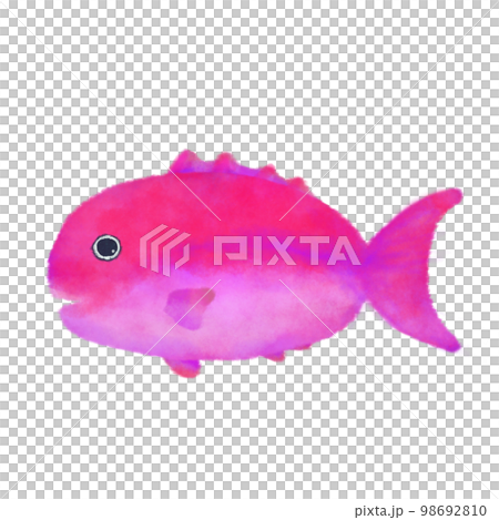 Sea creatures with a touch of watercolor Sea creatures with a touch of watercolor 98692810