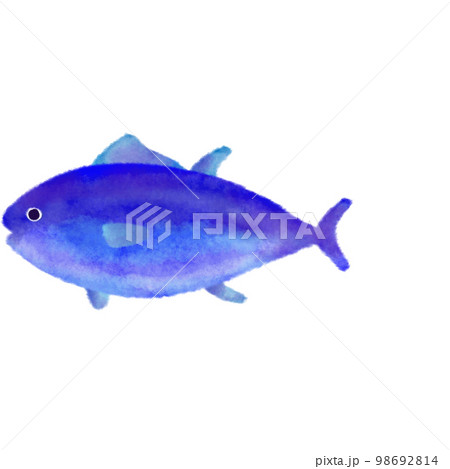 水彩タッチの海の生き物　マグロ 98692814