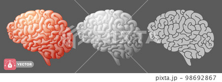 Brain 3d Icon Set 98692867