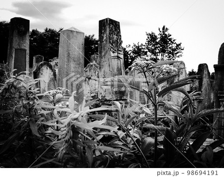 Old abandoned Jewish cemetery with stone graves between trees Old abandoned Jewish cemetery with stone graves between trees 98694191
