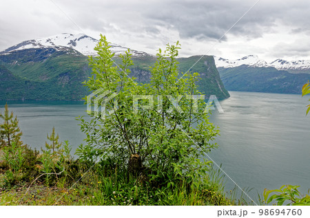 Beautiful norwegian fjord landscape - Andalsnes 98694760